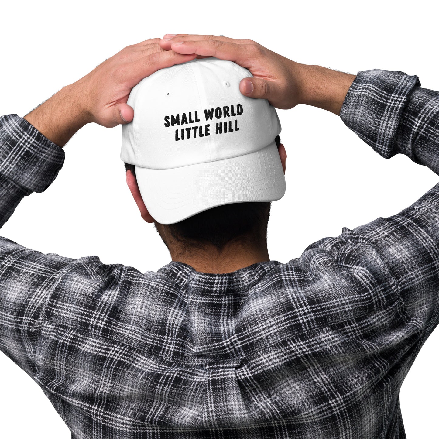 Small World, Little Hill — Dad Hat